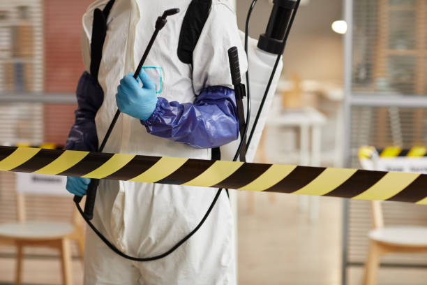 Professional Sewage Cleanup technician working in Foresthill, CA